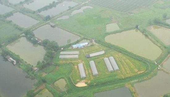 QQ截图20200803164640.jpg