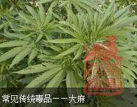 微信截图_20200806141336.png