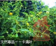 微信截图_20200806141312.png