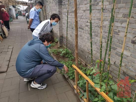 1622699446820.jpg clip_image004.jpg