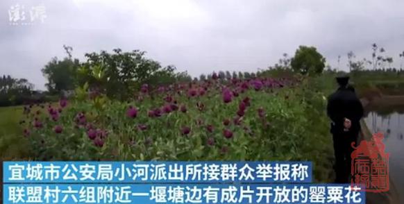 1623119413660.png 微信截图_20210608103057.png