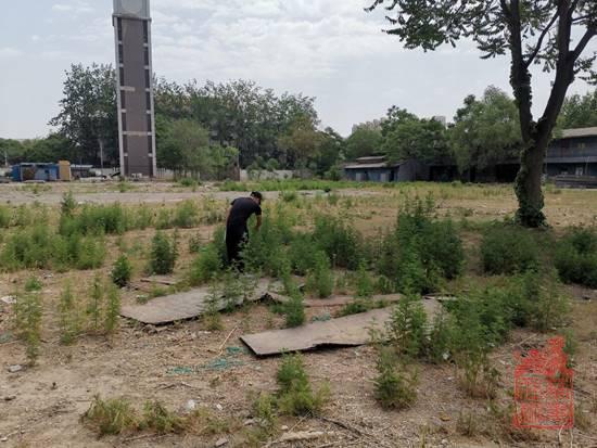 1623375253852.jpg clip_image002.jpg