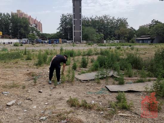 1623375268320.jpg clip_image004.jpg