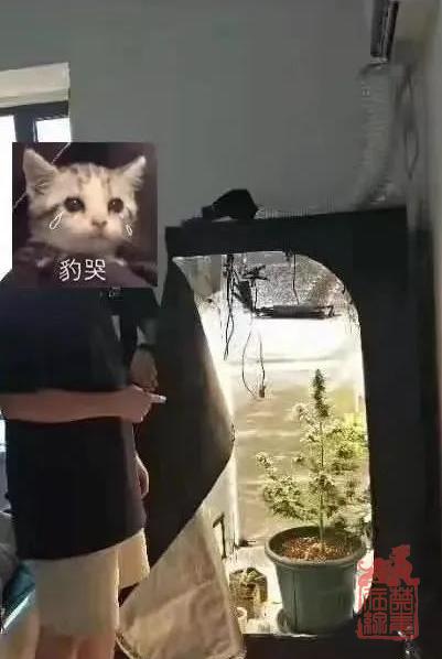 微信截图_20210818111729.png