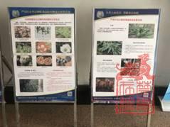 1645422958270.jpg clip_image010.jpg