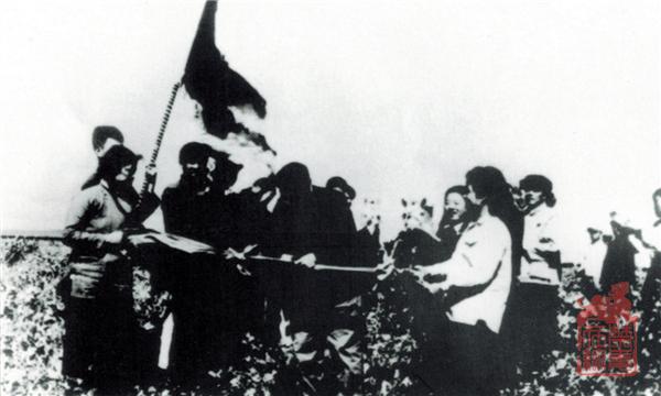 1651306029573.jpg 15.jpg