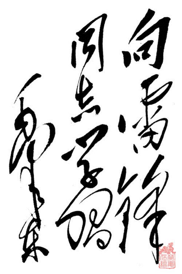 1651306321918.jpg 19.jpg