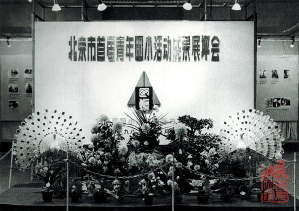 1651308467433.jpg 24.jpg