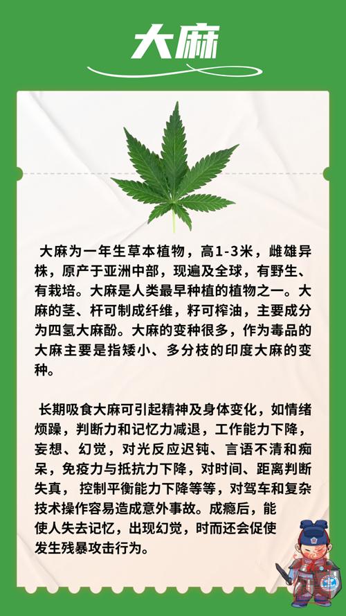 1707360328923.png