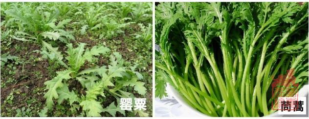 微信截图_20240304140648.jpg
