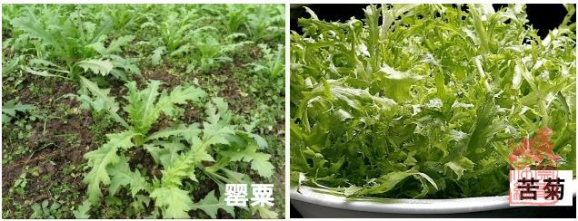 微信截图_20240304140702.jpg