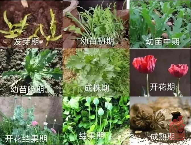 微信截图_20240304140758.jpg