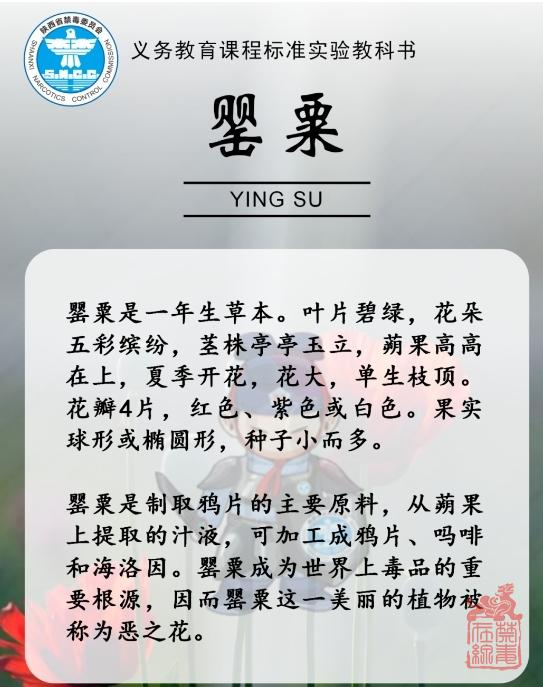 微信截图_20240408112122.png