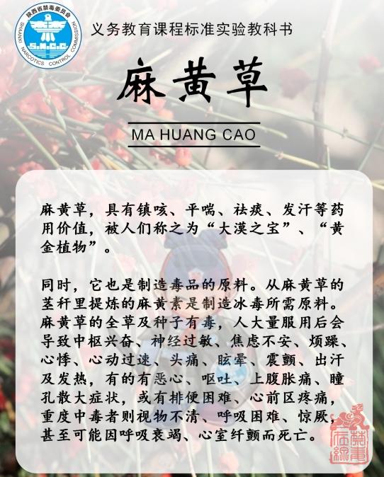 微信截图_20240408112142.png