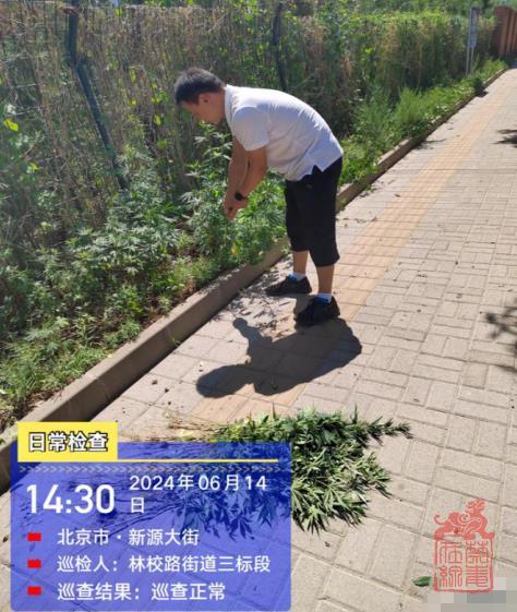 微信截图_20240617144503.jpg