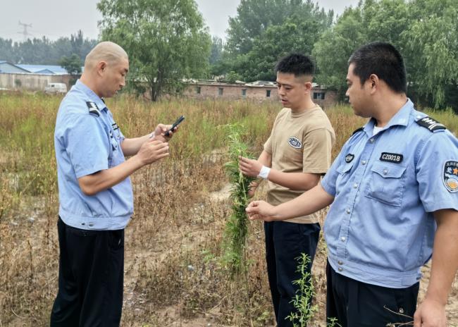 微信截图_20240705135625.jpg