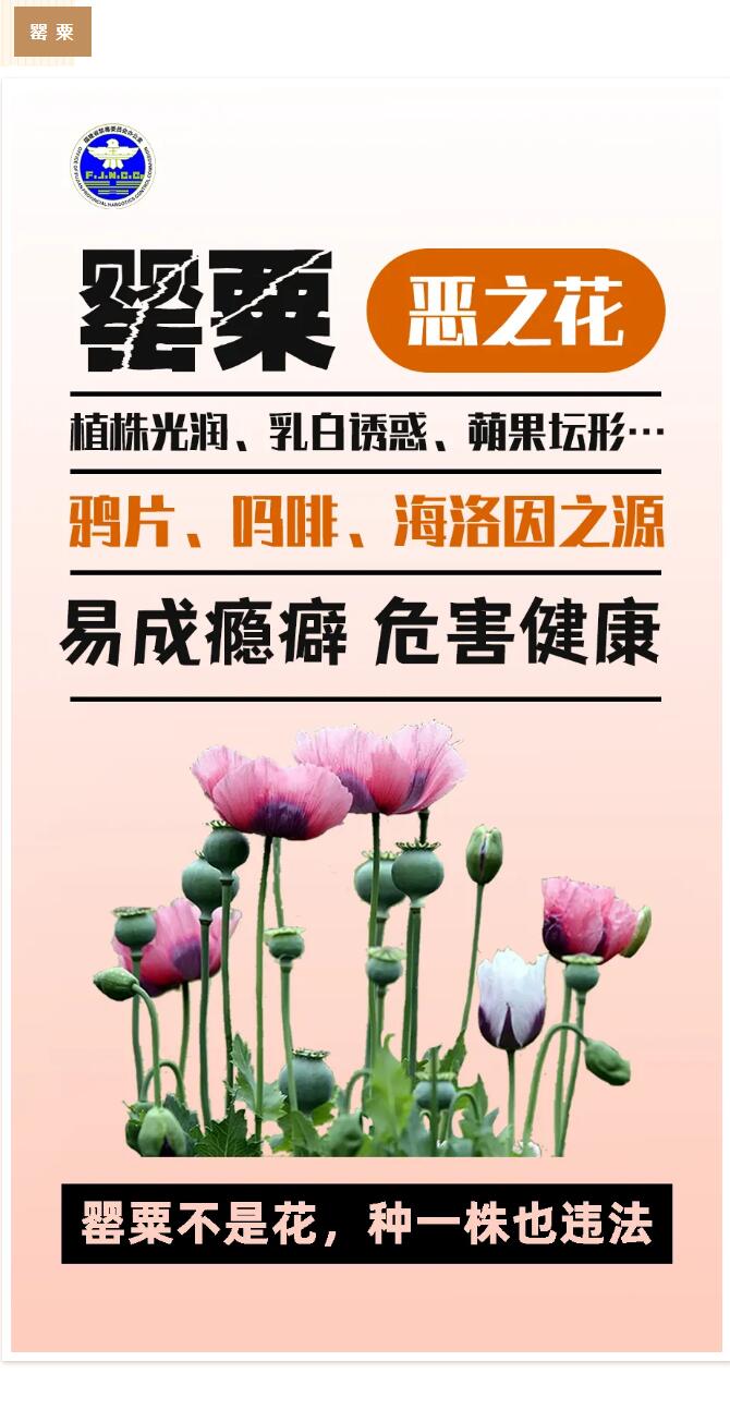 QQ截图20240820111805.jpg