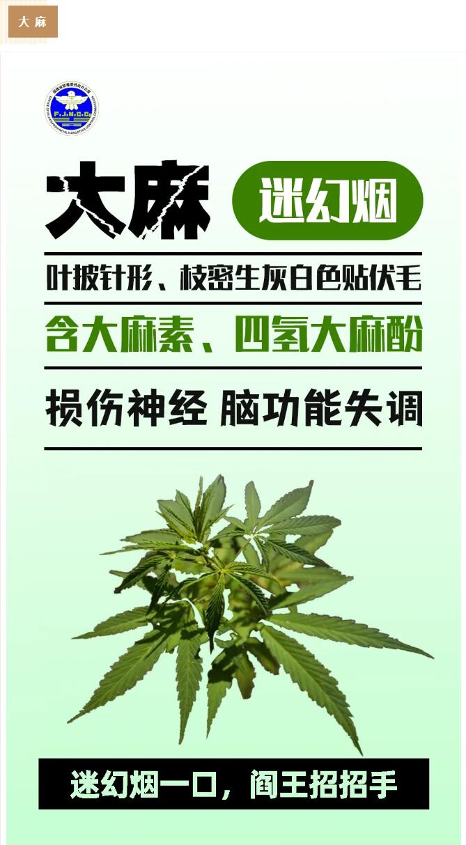 QQ截图20240820111858.jpg