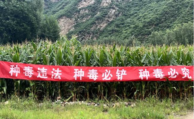 微信截图_20240821101031.jpg