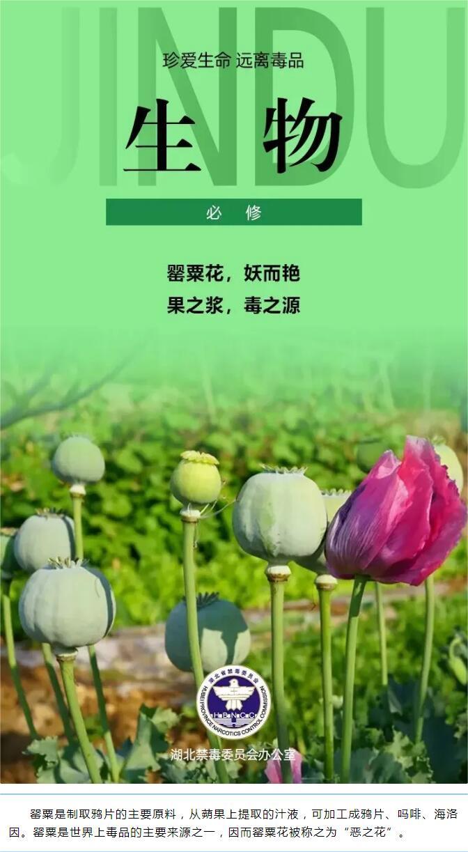 QQ截图20240904095514.jpg
