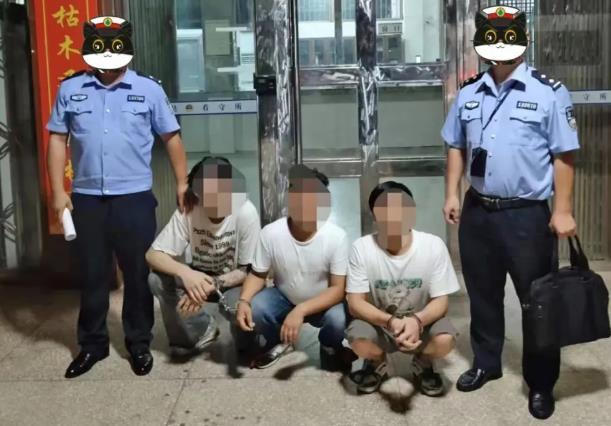微信截图_20240925121114.jpg