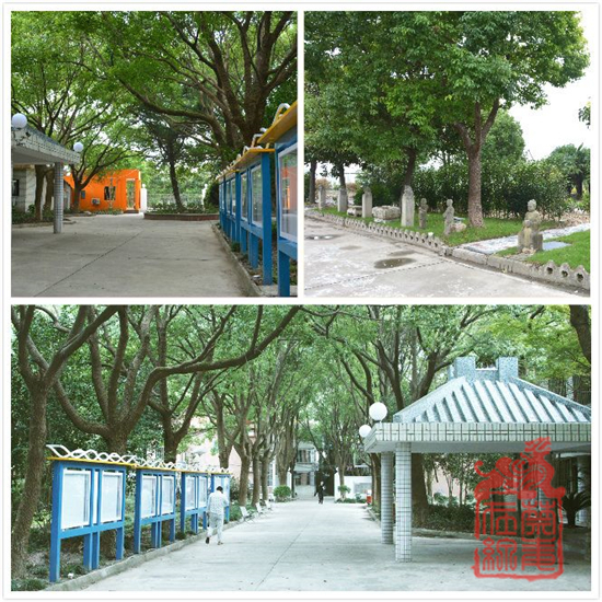 图片4